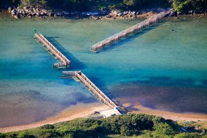mljet