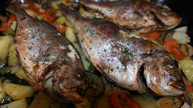 sea-bream-261151_640